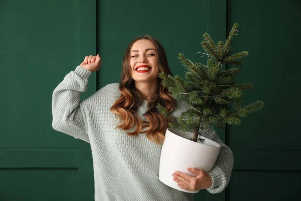 Hermosa Mujer Sosteniendo Maceta Con Árbol Navidad Cerca Pared Verde —  Fotos de Stock