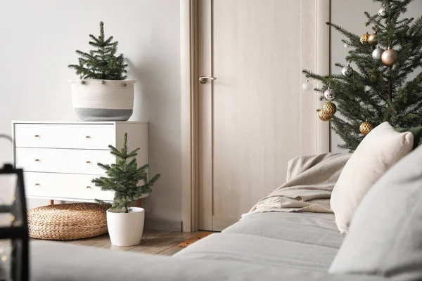 거실의 아름다운 크리스마스 트리와 — 스톡 사진