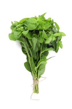 Beyaz arkaplanda bir demet nane