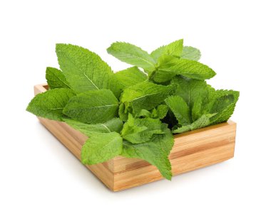 Beyaz zemin üzerinde nane olan ahşap kutu