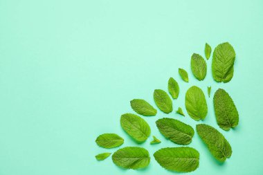 Renkli arkaplanda organik nane yaprakları