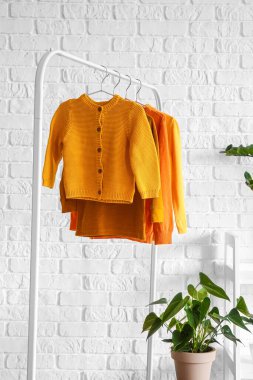 Süveter askısı ve beyaz tuğla duvarın yanında bitkiler.