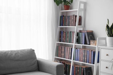 Modern oda içinde kanepesi olan kitaplık.