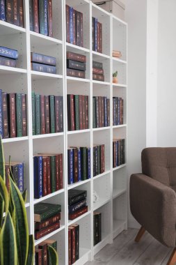 Modern oda içi kitaplık