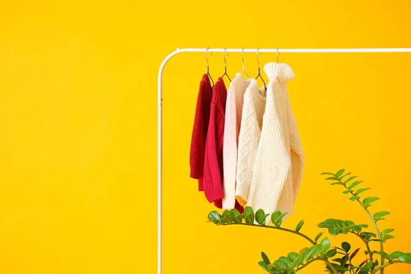 Σχάρα Ρούχων Πλεκτά Πουλόβερ Και Houseplant Φόντο Χρώμα — Φωτογραφία Αρχείου