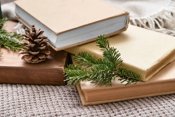 Books Fir Tree Branches Pine Cone Plaid — Stock Photo, Image