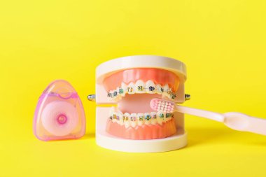 Sarı arkaplanda diş fırçası, diş ipi ve diş teli ile çene modeli