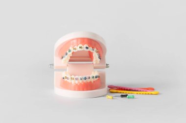 Model of jaw with braces and dental tools on white background clipart