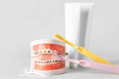 Beyaz arkaplan üzerine diş telleri, kürdanlar, fırçalar ve yapıştırma ile çene modeli