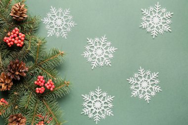 Yeşil arka planda kar taneleri, köknar dalları ve böğürtlenli kompozisyon