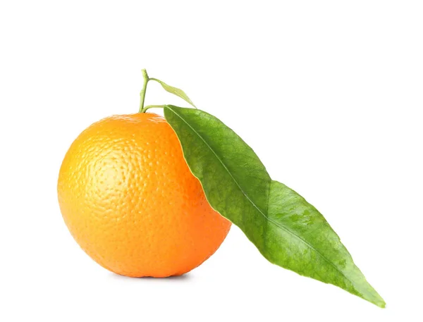 全橙色 白色背景 — 图库照片
