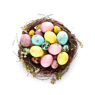 Beyaz arka planda izole edilmiş renkli Paskalya yumurtaları olan yuva