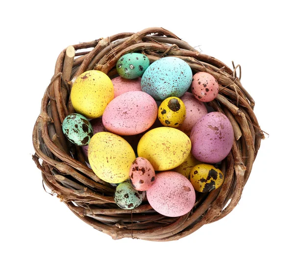 Nido Con Coloridos Huevos Pascua Sobre Fondo Blanco —  Fotos de Stock
