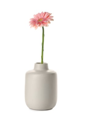 Beyaz arka planda güzel Gerbera çiçekli vazo
