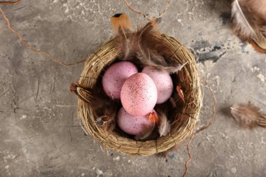 Güzel Paskalya yumurtaları ve grunge arka planında tüyleri olan bir yuva.