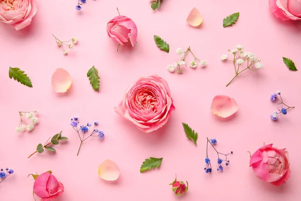 Composition Beautiful Flowers Pink Background — Stock Photo, Image