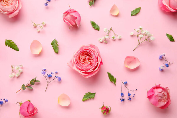 Composition with beautiful flowers on pink background