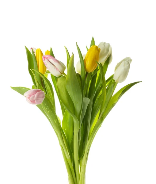 Bellissimo Bouquet Tulipani Freschi Sfondo Bianco Primo Piano — Foto Stock