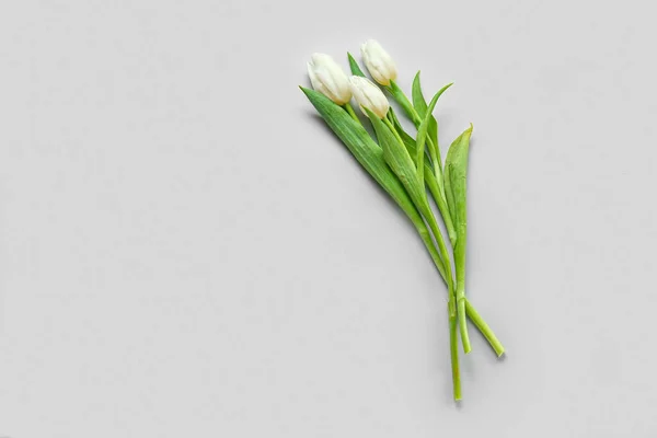 Flores Brancas Tulipa Fundo Cinza — Fotografia de Stock