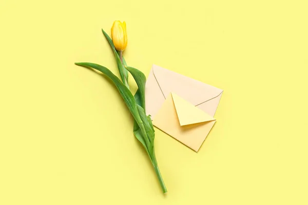 Mooie Tulp Bloem Enveloppen Kleur Achtergrond — Stockfoto