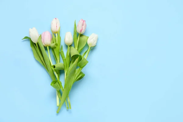 Güzel Lale Çiçek Mavi Zemin Üzerine — Stok fotoğraf