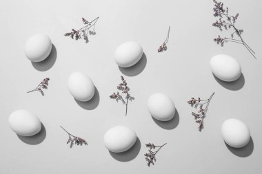 Renkli arka planda Paskalya yumurtaları ve çigila çiçekleri ile güzel bir kompozisyon