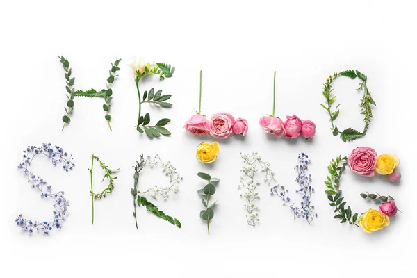 Tekst Hello Spring Gemaakt Van Verschillende Bloemen Bladeren Witte Achtergrond — Stockfoto