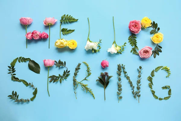 Texto Hello Spring Hecho Diferentes Flores Hojas Sobre Fondo Color — Foto de Stock