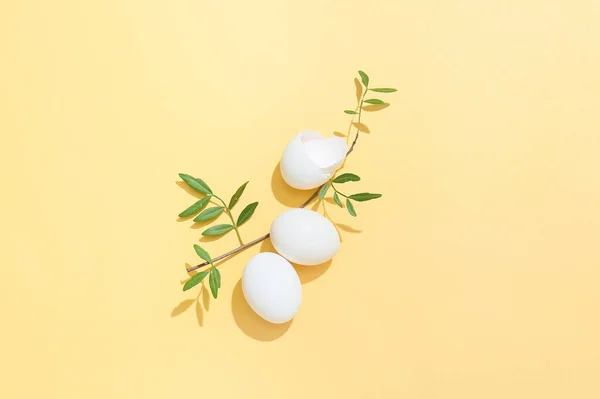 Πασχαλινά Αυγά Κέλυφος Αυγού Και Κλαδί Δέντρου Φόντο Χρώματος — Φωτογραφία Αρχείου