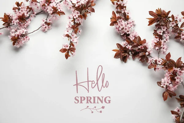 Beautiful Blossoming Tree Branches Light Background Hello Spring — Stock Photo, Image