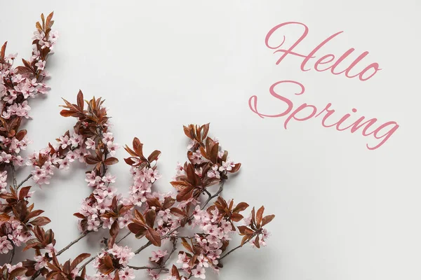 Hermosas Ramas Árboles Flor Sobre Fondo Claro Hola Primavera — Foto de Stock