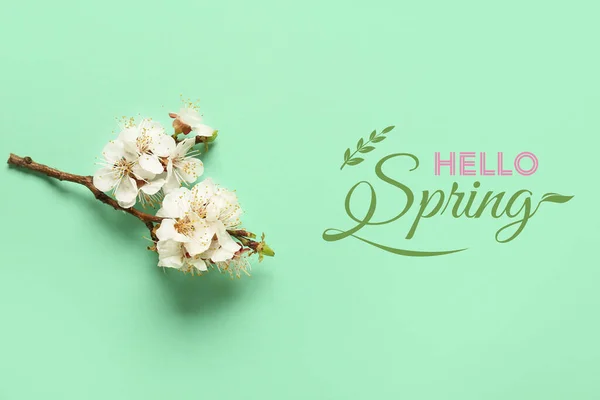 Hermosa Rama Árbol Flor Sobre Fondo Color Hola Primavera —  Fotos de Stock