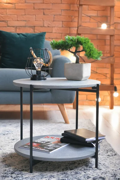 Stylish Interior Living Room Grey Sofa Table Lamp Bonsai Tree — Stock Photo, Image