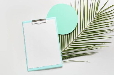 Beyaz zemin üzerinde boş kağıt ve palmiye yaprağı olan pano