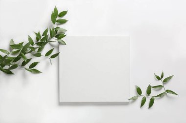 Beyaz arkaplanda boş poster ve bitki dalları