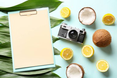 Renkli arka planda pano, fotoğraf makinesi, bitki yaprakları ve meyvelerle kompozisyon