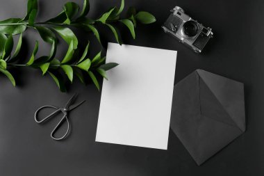 Boş kart, makas, fotoğraf makinesi ve arka planda bitki dallarıyla kompozisyon