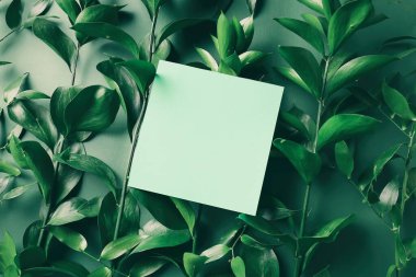 Boş kart ve arkaplanda taze bitki dalları