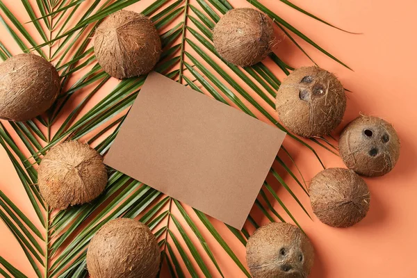 천연색 배경에 코코넛 야자나무 곁들인 — 스톡 사진