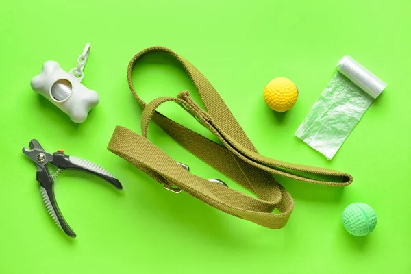Set Different Pet Care Accessories Waste Bags Green Background — Stock Photo, Image