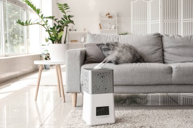 Nemlendiricili şık bir oturma odası.