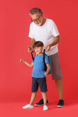Kıdemli adam küçük torununu kırmızı arka planda okula hazırlıyor.