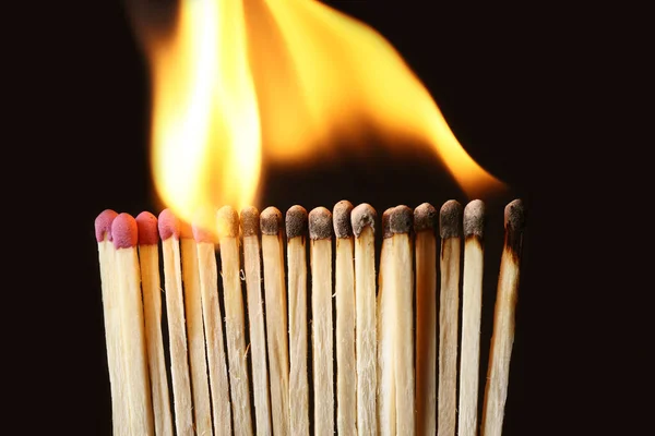 Line Burning Matches Black Background Closeup Inspiration Concept — Stock Photo, Image