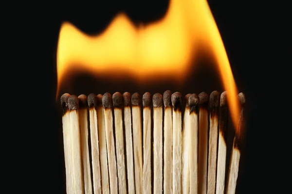 Line Burning Matches Black Background Closeup Inspiration Concept — Stock Photo, Image