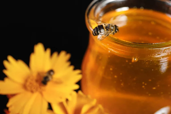 おいしい蜂蜜と瓶の上に蜂 クローズアップ — ストック写真