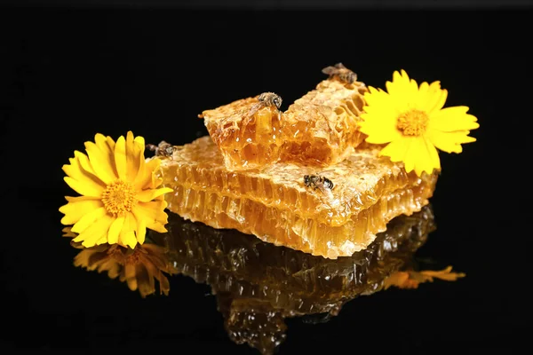 Honung Kam Ringblomma Blommor Och Bin Svart Bakgrund — Stockfoto