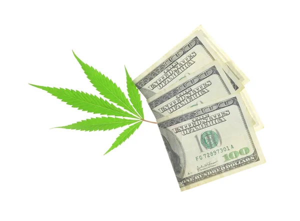 Hoja Cannabis Con Billetes Dólar Sobre Fondo Blanco —  Fotos de Stock