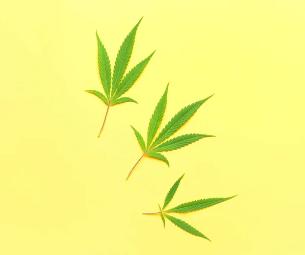 Cannabis Laat Gele Achtergrond — Stockfoto