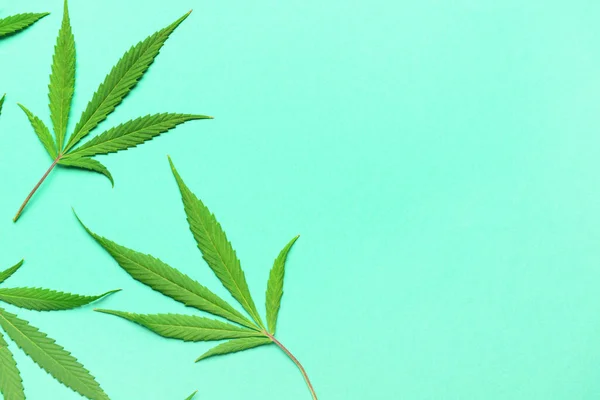 Cannabis Blad Beige Bakgrund — Stockfoto