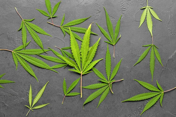 Cannabisbladeren Zwarte Achtergrond — Stockfoto